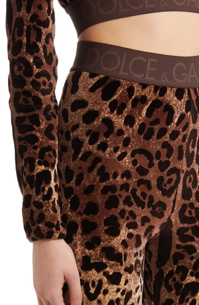 Shop Dolce & Gabbana High Waist Leopard Print Cotton Blend Leggings In Print Leo