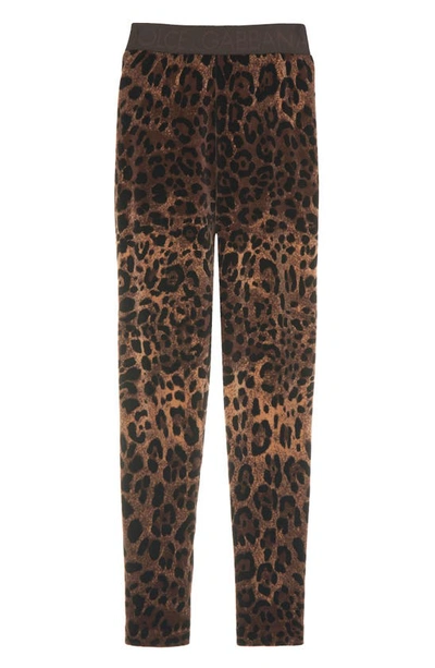 Shop Dolce & Gabbana High Waist Leopard Print Cotton Blend Leggings In Print Leo