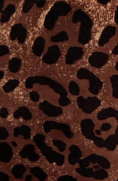 Shop Dolce & Gabbana High Waist Leopard Print Cotton Blend Leggings In Print Leo