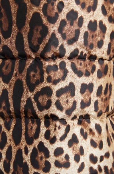 Shop Dolce & Gabbana Leopard Print Stand Collar Puffer Jacket In Light Brown Print