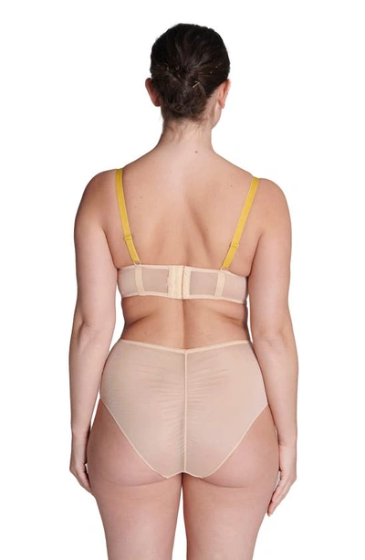 Simone Perele Lace Boxer Briefs In Ginger