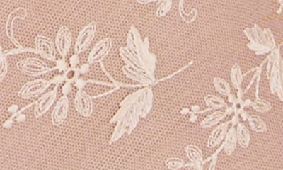 Simone Perele Lace Boxer Briefs In Ginger