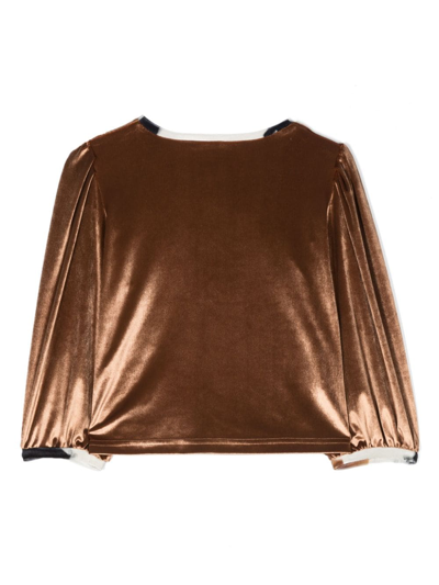 Shop Colorichiari Long-sleeved Velvet Blouse In Brown