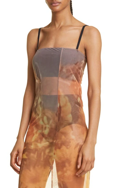 Shop Elliss Sunflower Print Sheer Mesh Midi Dress In Brown Print Multi