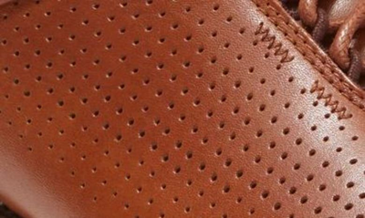 Shop Cole Haan Grand Atlantic Perforated Sneaker In British Tan