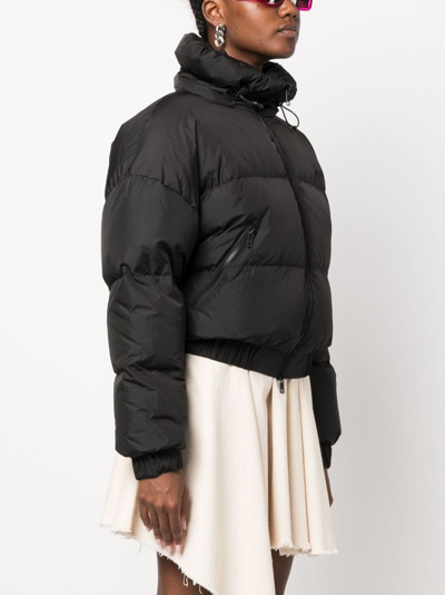 Shop Msgm Ripstop Cropped Down Jacket In Black