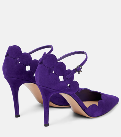 Shop Gianvito Rossi Suede Pumps In Purple