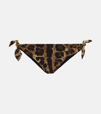 Shop Dolce & Gabbana Leopard-print Bikini Bottoms In Multicoloured