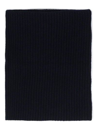 Shop Lisa Yang Ribbed-knit Cashmere Scarf In Blue