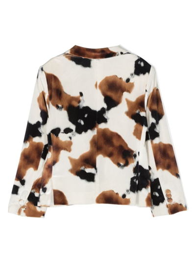 Shop Colorichiari Cow-print Single-breasted Blazer In Neutrals
