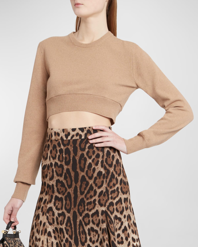 Shop Dolce & Gabbana Cashmere And Wool Cropped Knit Crewneck In Brown