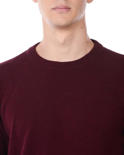 Daniele Alessandrini Sweater In Burgundy