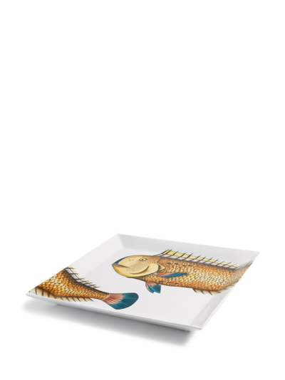 Fornasetti Tray Pesce Lampuga In Weiss