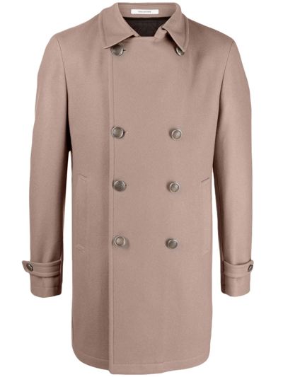 Tagliatore Double-breasted Notched-lapels Coat In Nude