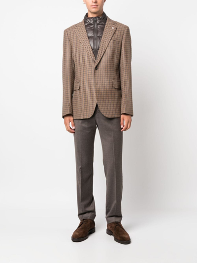 Pt Torino Mid-rise Tailored Trousers In Brown