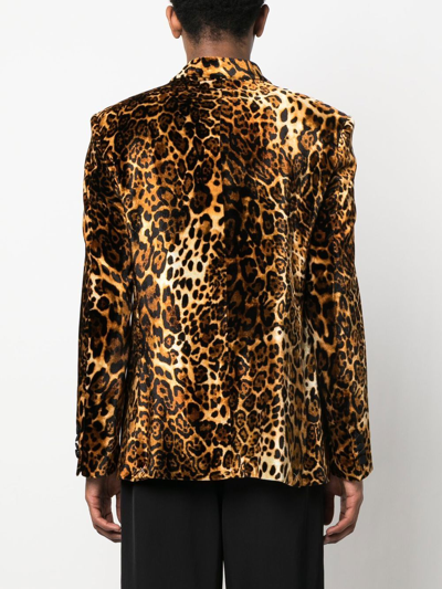 Shop Roberto Cavalli Leopard-print Blazer In Neutrals