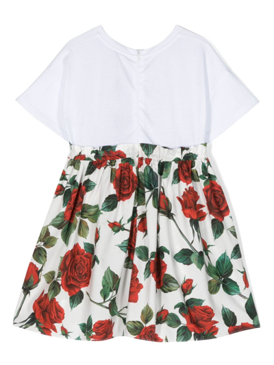 Shop Dolce & Gabbana Rose-print Cotton Midi-dress In White