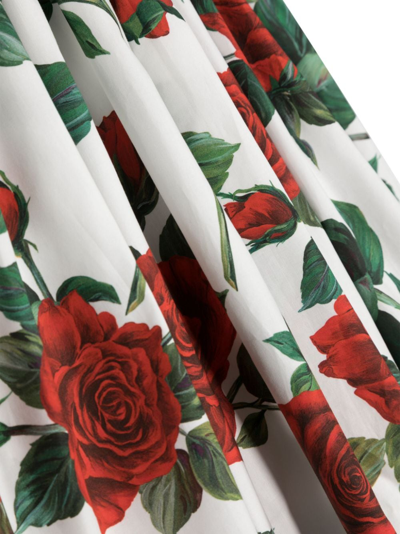 Dolce & Gabbana Rose-print Cotton Midi-dress In White