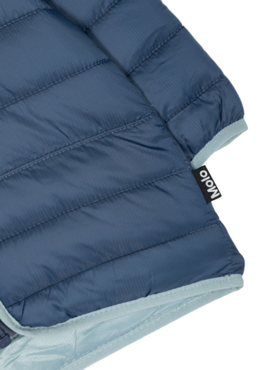Shop Molo Harmony Hooded Padded Jacket In Blue