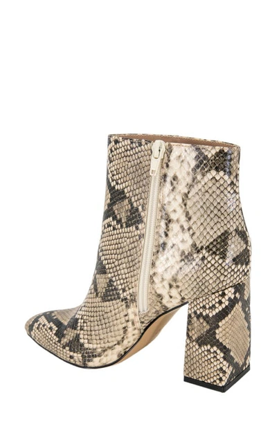 Shop Bcbgeneration Briel Pointy Toe Bootie In Natural Snake