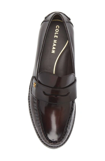 Shop Cole Haan Lux Pinch Penny Loafer In Deep Burgundy