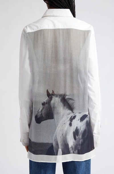 Shop Stella Mccartney Horse Print Cotton Button-up Shirt In Pure White