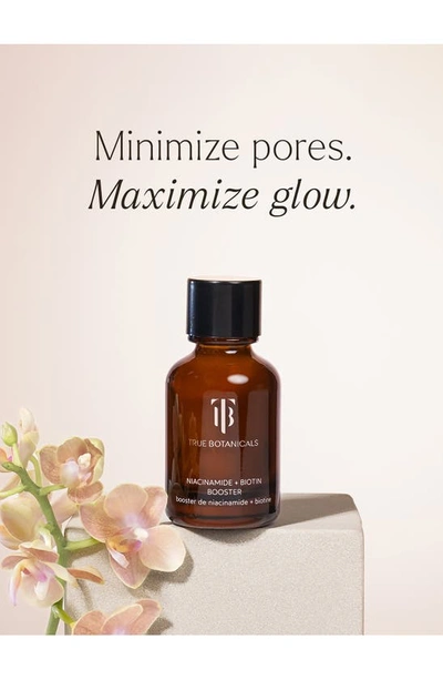 True Botanicals Niacinamide + Biotin Powder Booster