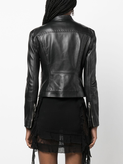 Shop Roberto Cavalli Band Collar Leather Jacket In Black