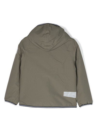Shop Molo Long-sleeve Hooded Jacket In Green