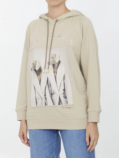 Max Mara Cotton Sweatshirt With Wegman Print In Nude & Neutrals