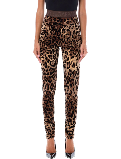 Dolce & Gabbana High Waist Leopard Print Cotton Blend Leggings In Leo