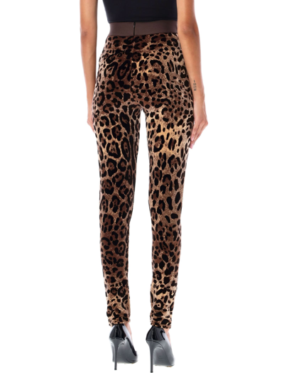 Shop Dolce & Gabbana Leggings Leo Print