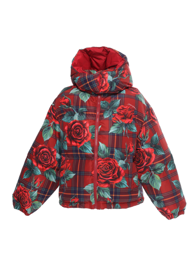 Shop Dolce & Gabbana Rose Print Puffer Jacket In Pink