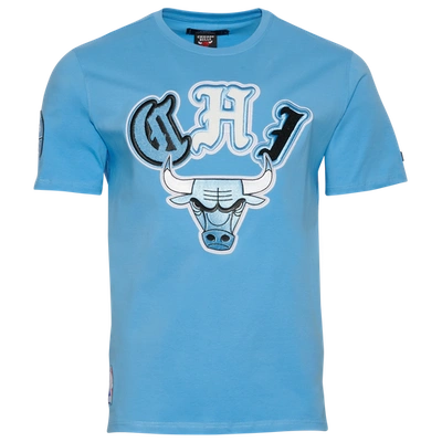 Pro Standard Mens Bulls Collage T-shirt In Blue/blue