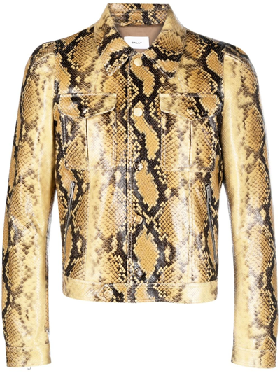 Shop Bally Snakeskin-print Leather Jacket In Brown