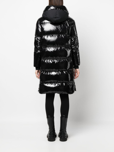 Herno Laminar Hooded Padded Coat In Black