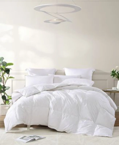 Shop Royal Luxe All Season Warmth White Goose Feather Down Fiber Comforters Created For Macys