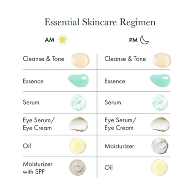 Revive Enzyme Essence In Default Title