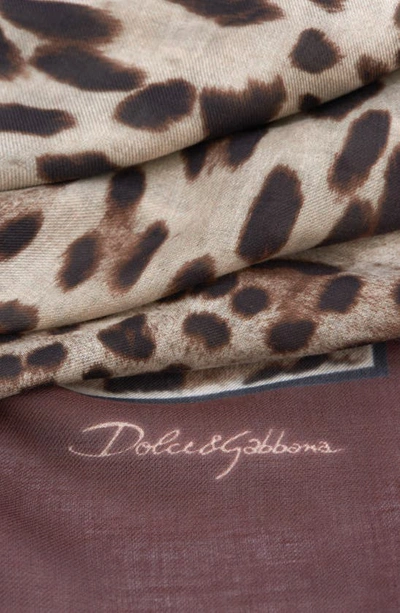 Dolce & Gabbana Leopard Print Signature Border Scarf In Light Brown Print