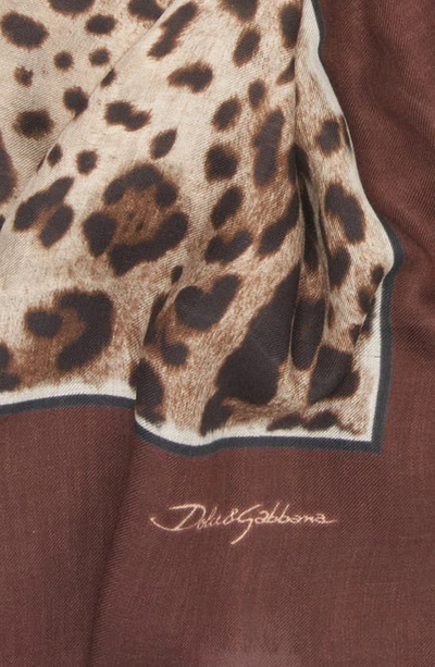 Dolce & Gabbana Leopard Print Signature Border Scarf In Light Brown Print