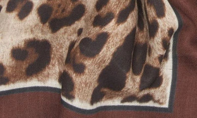 Dolce & Gabbana Leopard Print Signature Border Scarf In Light Brown Print