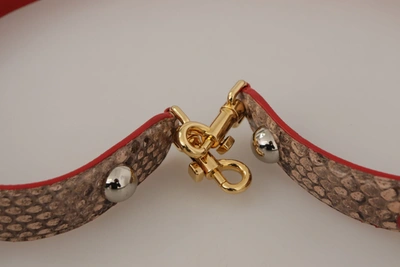 Shop Dolce & Gabbana Chic Brown Python Leather Bag Women's Strap