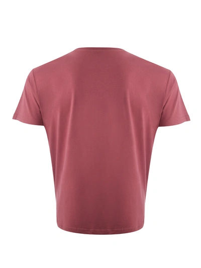 Shop Kenzo Light Red Cotton T-shirt With Tiger Print And Front Men's Logo