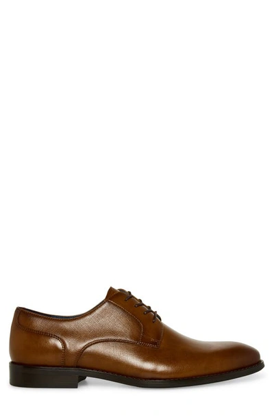 Steve Madden Shay Derby In Tan