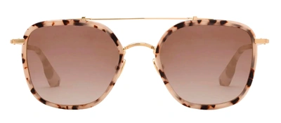 Shop Krewe Austin Navigator Sunglasses In Brown