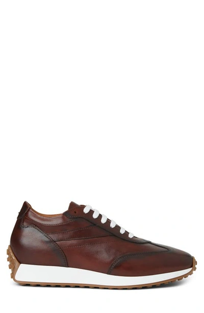 Shop Bruno Magli Duccio Sneaker In Rust