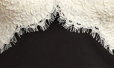 Shop Tadashi Shoji Long Sleeve Lace & Crepe Dress In Ivory/ Black