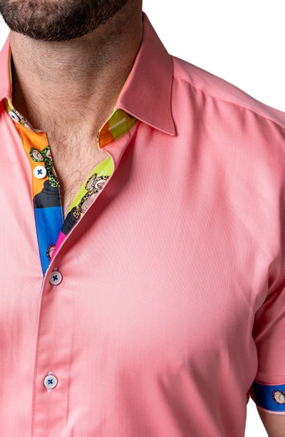 Maceoo Galileo Pazole Pink Short Sleeve Cotton Button-up Shirt In Pink