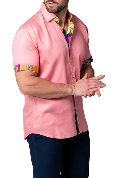 Maceoo Galileo Pazole Pink Short Sleeve Cotton Button-up Shirt In Pink
