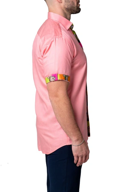 Maceoo Galileo Pazole Pink Short Sleeve Cotton Button-up Shirt In Pink